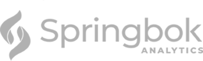 SpringBok Analytics